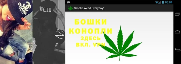 2c-b Вяземский