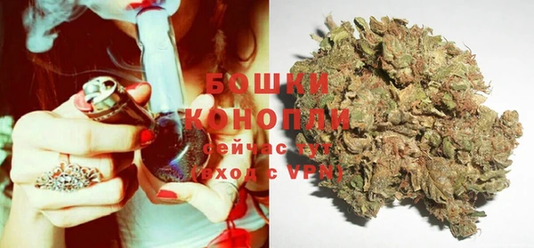 2c-b Вяземский