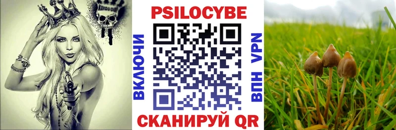 mega tor  darknet как зайти  Северодвинск  Псилоцибиновые грибы GOLDEN TEACHER  купить  сайты 